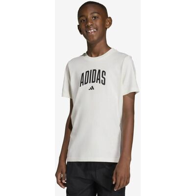 Camiseta adidas Collegiate Graphic manga corta blanco puro junior - 176 Camiseta adidas Collegiate Graphic manga corta blanco puro junior - 176
