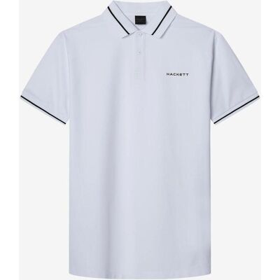 Polo Hackett Tipped manga corta blanco azul marino - XL Polo Hackett Tipped manga corta blanco azul marino - XL
