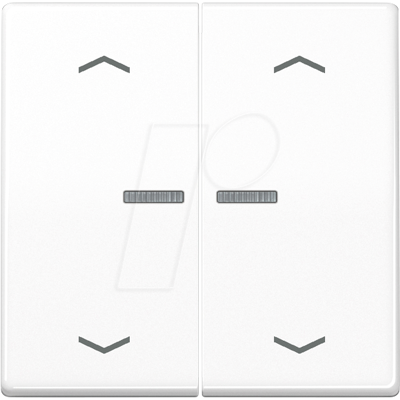 JUNG JG BTA17102PWW - Botón Bluetooth, 2x, blanco alpino, símbolos de fl JUNG JG BTA17102PWW - Botón Bluetooth, 2x, blanco alpino, símbolos de fl