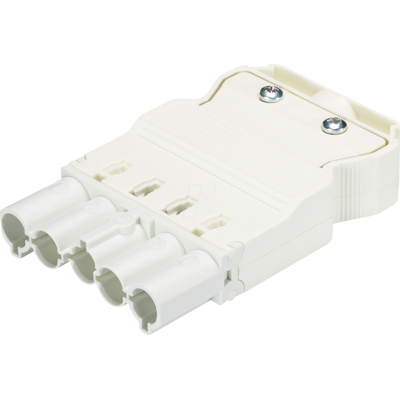 WIELAND GST 18-5SS1 Z-WS - Conector macho - 5 vías - Blanco - Conector eléctrico WIELAND GST 18-5SS1 Z-WS - Conector macho - 5 vías - Blanco - Conector eléctrico