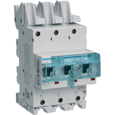 Hager HTS380E - Interruptor 3 polos Montaje en barra IP20 - Interruptor Hager HTS380E - Interruptor 3 polos Montaje en barra IP20 - Interruptor