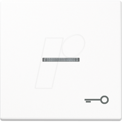 JUNG JG A590 KO5 T WW - Escalera de luz con balancín, llave, duroplast, serie a, JUNG JG A590 KO5 T WW - Escalera de luz con balancín, llave, duroplast, serie a,