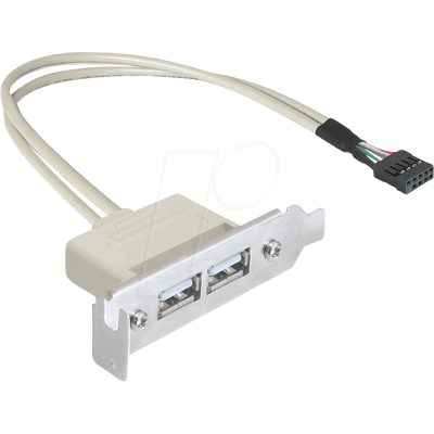 DELOCK 83119 - Placa ranurada - USB 2.0, 2 puertos de perfil bajo DELOCK 83119 - Placa ranurada - USB 2.0, 2 puertos de perfil bajo