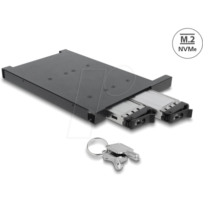 DELOCK 47138 - Bastidor móvil para 2 x SSD M.2 NVMe con conector SFF-8654 para DELOCK 47138 - Bastidor móvil para 2 x SSD M.2 NVMe con conector SFF-8654 para