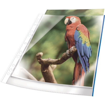 DURABLE 265506 - Fundas de folletos, a4, transparente, azul, 25 unidades DURABLE 265506 - Fundas de folletos, a4, transparente, azul, 25 unidades