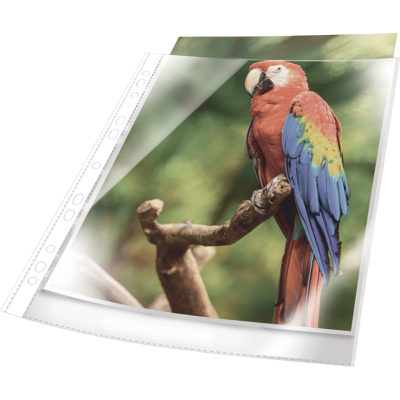 DURABLE 265502 - Fundas de folletos, a4, transparente, blanco, 25 unidades DURABLE 265502 - Fundas de folletos, a4, transparente, blanco, 25 unidades