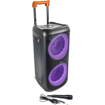 IBIZA Coluna Amplificada 2x8" 400W LED USB/MicroSD/AUX/TWS ERIS400 IBIZA Coluna Amplificada 2x8" 400W LED USB/MicroSD/AUX/TWS ERIS400