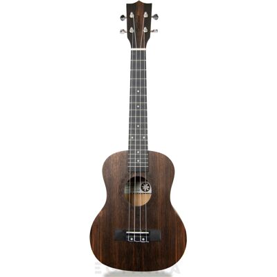 Tanglewood TWT19 Tanglewood TWT19