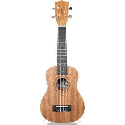 Tanglewood TWT1 Tanglewood TWT1