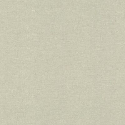 Rasch Papel pintado TNT Liso Texturado Singapur . (0,53 x 10 m) Verde Rasch Papel pintado TNT Liso Texturado Singapur . (0,53 x 10 m) Verde