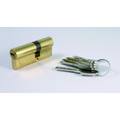Tesa Cilindro Seguridad Estándar Leva Larga 30 X 30 mm. (30 x 40 mm) Latón Tesa Cilindro Seguridad Estándar Leva Larga 30 X 30 mm. (30 x 40 mm) Latón