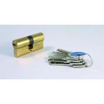 TESA ASSA ABLOY Cilindro de Perfil Europeo T60 - Cilindro de puerta TESA ASSA ABLOY Cilindro de Perfil Europeo T60 - Cilindro de puerta