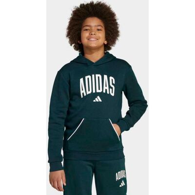 Adidas Sudadera de niños Seasonals Essentials Collegiate Typography . (10 años) Verde Adidas Sudadera de niños Seasonals Essentials Collegiate Typography . (10 años) Verde