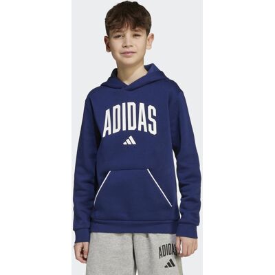 Adidas Sudadera de niños Seasonals Essentials Collegiate Typography . (10 años) Azul Adidas Sudadera de niños Seasonals Essentials Collegiate Typography . (10 años) Azul