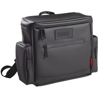 Korg Estuche para Sequenz MP-DJ1-BK Negra. Negro Korg Estuche para Sequenz MP-DJ1-BK Negra. Negro