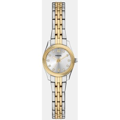 Fossil Reloj de mujer scarlette mini de acero inoxidable con tres agujas. Multicolor Fossil Reloj de mujer scarlette mini de acero inoxidable con tres agujas. Multicolor