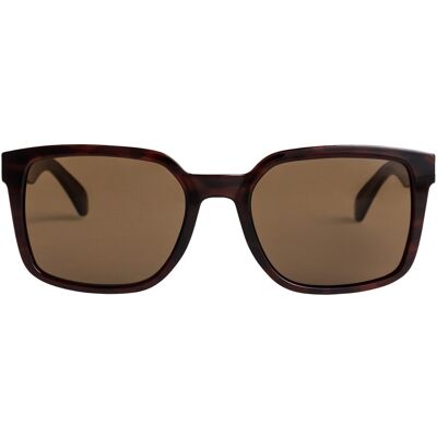 Quiksilver Gafas de hombre Warlock . Marrón Quiksilver Gafas de hombre Warlock . Marrón