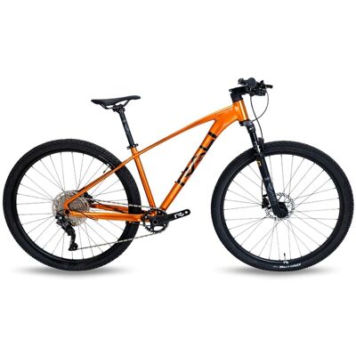 Rali Bicicleta de montaña ADV-I 2024 29" . (S) Naranja Rali Bicicleta de montaña ADV-I 2024 29" . (S) Naranja