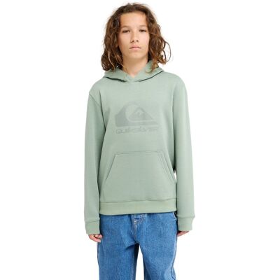 Quiksilver Sudadera de niños Comp Logo . (8 años) Verde Quiksilver Sudadera de niños Comp Logo . (8 años) Verde