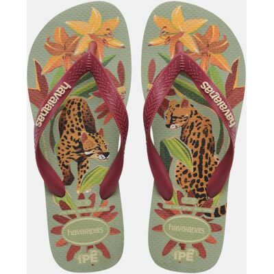 Havaianas Chanclas de dedo Hombre IPE . (45-46) Verde Havaianas Chanclas de dedo Hombre IPE . (45-46) Verde