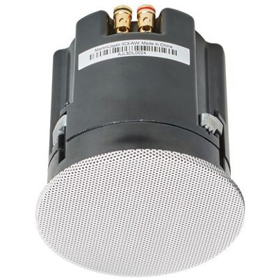 Martin Logan Altavoz IC3 AW. Blanco Martin Logan Altavoz IC3 AW. Blanco