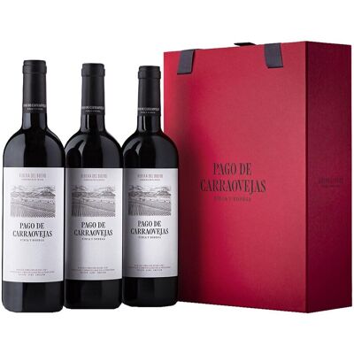 Pago de Carraovejas Estuche vinos tintos 2023 Ribera del Duero. Pago de Carraovejas Estuche vinos tintos 2023 Ribera del Duero.