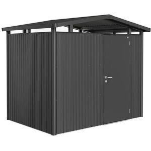 Biohort Caseta metálica Panorama puerta estándar. (P2) Gris oscuro metalizado Biohort Caseta metálica Panorama puerta estándar. (P2) Gris oscuro metalizado