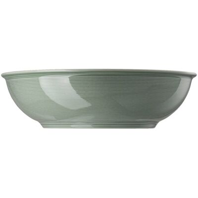 Thomas Verde Musgo 32 cm Cuenco de Porcelana Thomas Verde Musgo 32 cm Cuenco de Porcelana