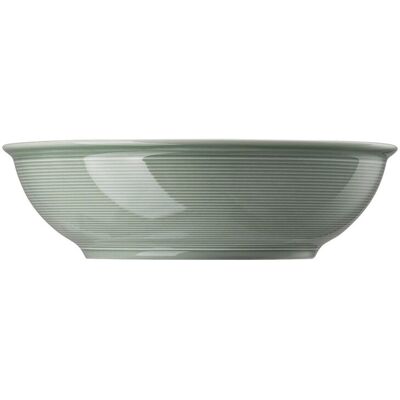 Thomas Verde Musgo 27cm Porcelana Cuenco Plano - Cuenco Thomas Verde Musgo 27cm Porcelana Cuenco Plano - Cuenco