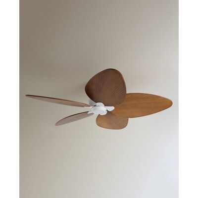 SULION Ventilador de techo con luz LED y motor DC marrón Alma . Natural SULION Ventilador de techo con luz LED y motor DC marrón Alma . Natural