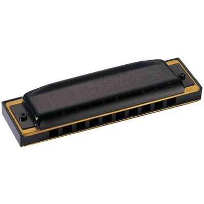 Hohner Armónica diatónica Pro Harp Bb. Metálico Hohner Armónica diatónica Pro Harp Bb. Metálico