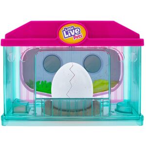 Little Live Pets Pollito Surprise Chick Playset modelos surtidos. Little Live Pets Pollito Surprise Chick Playset modelos surtidos.