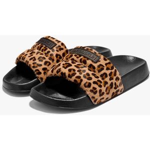 D.Franklin - Sandalias de playa Venice Slides Leo Pony - Color - Chanclas Cómodas de Verano female 39 D.Franklin - Sandalias de playa Venice Slides Leo Pony - Color - Chanclas Cómodas de Verano female 39