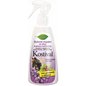 Bione Cosmetics Kostival - Lubricante para músculos y articulaciones - 260ml Bione Cosmetics Kostival - Lubricante para músculos y articulaciones - 260ml