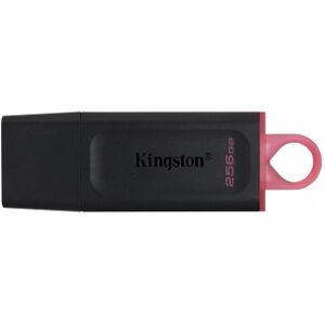 Kingston DataTraveler Exodia - 256 GB USB tipo A 3.2 Gen 1 (3.1 Gen 1) Negro Kingston DataTraveler Exodia - 256 GB USB tipo A 3.2 Gen 1 (3.1 Gen 1) Negro