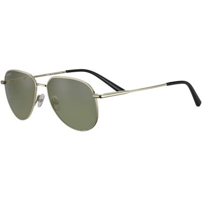 Serengeti Gafas de sol HAYWOOD SS543003 Dorados Talla: 56X16 Dorados Serengeti Gafas de sol HAYWOOD SS543003 Dorados Talla: 56X16 Dorados