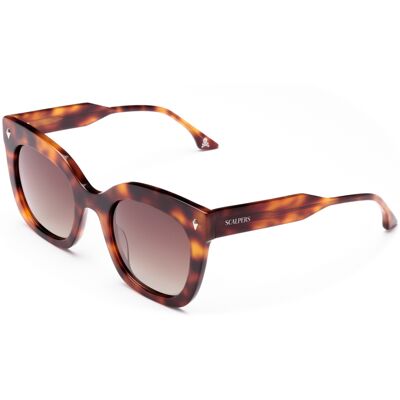 Gafas de sol Scalpers HILL HILL Marrón Talla: 52X24 Marrón Gafas de sol Scalpers HILL HILL Marrón Talla: 52X24 Marrón