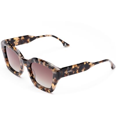 Gafas de sol Scalpers WILLIAMSBURG WILLIAMSBURG Marrón Talla: 50X21 Marrón Gafas de sol Scalpers WILLIAMSBURG WILLIAMSBURG Marrón Talla: 50X21 Marrón