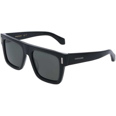 Gafas de sol Salvatore Ferragamo SF2063SE Negro Talla: 53X19 Negro Gafas de sol Salvatore Ferragamo SF2063SE Negro Talla: 53X19 Negro