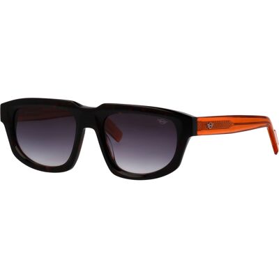 Mini Gafas de sol 746043 Marrón Talla: 54X19 Marrón Mini Gafas de sol 746043 Marrón Talla: 54X19 Marrón
