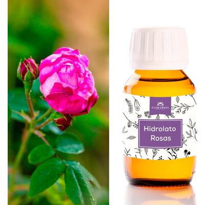 Camassia Agua de Rosas (Hidrolato de Rosas) Hidratación Natural Camassia Agua de Rosas (Hidrolato de Rosas) Hidratación Natural