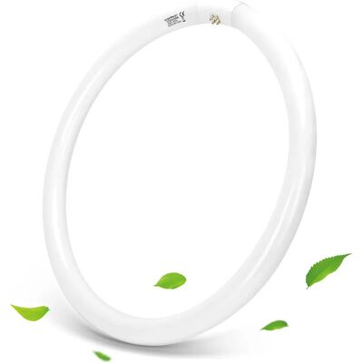 Aigostar - T9 Tubo de luz de anillo G10q, Ahorro de energía, 22w/32w/40w, luz fria 6500k, 220-240V Aigostar - T9 Tubo de luz de anillo G10q, Ahorro de energía, 22w/32w/40w, luz fria 6500k, 220-240V