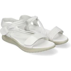 Ninguno PuntoSalao Sandalias planas cómodas cierre velcro mujer color blanco FZ23-26 Ninguno PuntoSalao Sandalias planas cómodas cierre velcro mujer color blanco FZ23-26