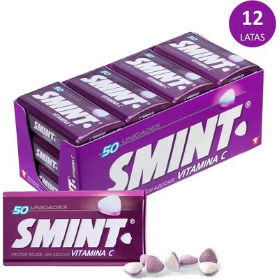 Ninguno SMINT FRUTOS ROJOS - 12x25gr Ninguno SMINT FRUTOS ROJOS - 12x25gr