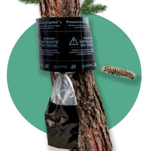 Ninguno Trampa Procesionaria del Pino 100% Eficaz Kit Completo de Muy Fácil Instalación Troncos hasta 130 CM En caso de troncos superiores, usar 2 trampas Sin Químicos y con Altísima Eficacia Trampa Ninguno Trampa Procesionaria del Pino 100% Eficaz Kit Completo de Muy Fácil Instalación Troncos hasta 130 CM En caso de troncos superiores, usar 2 trampas Sin Químicos y con Altísima Eficacia Trampa