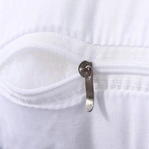 Ninguno KingnetStore - Rellenos Cojines con Cremallera Oculta de Fibra Hueca Siliconada Alta Recuperación, Relleno de Cojín Suave, Mullido, Antialérgico, Indeformable. Cojín Decorativo para Casa Adaptable a Ninguno KingnetStore - Rellenos Cojines con Cremallera Oculta de Fibra Hueca Siliconada Alta Recuperación, Relleno de Cojín Suave, Mullido, Antialérgico, Indeformable. Cojín Decorativo para Casa Adaptable a