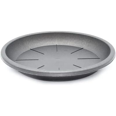 Ninguno C.A - Plato Maceta, Plato para macetero, Plato plástico para macetas, Bandeja Maceta, bajoplatos Maceta Ninguno C.A - Plato Maceta, Plato para macetero, Plato plástico para macetas, Bandeja Maceta, bajoplatos Maceta