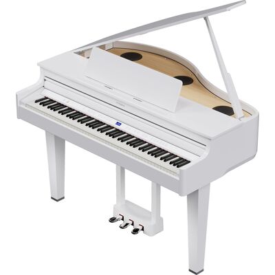 <b>Roland GP-6-PW PIANO CAUDA BRANCO POLIDO 10 ANOS GARANTIA</b> <b>Roland GP-6-PW PIANO CAUDA BRANCO POLIDO 10 ANOS GARANTIA</b>