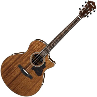 Ibanez AE245-NT Ibanez AE245-NT