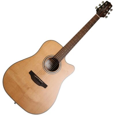 Takamine GD20CE-N Takamine GD20CE-N